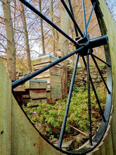 Orchard View Yurt & Hot Tub Somerset Уэстон-сьюпер-Мэр Экстерьер фото